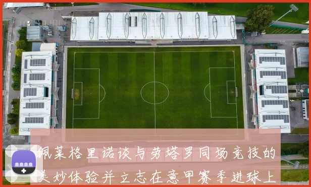 佩莱格里诺谈与劳塔罗同场竞技的美妙体验并立志在意甲赛季进球上双