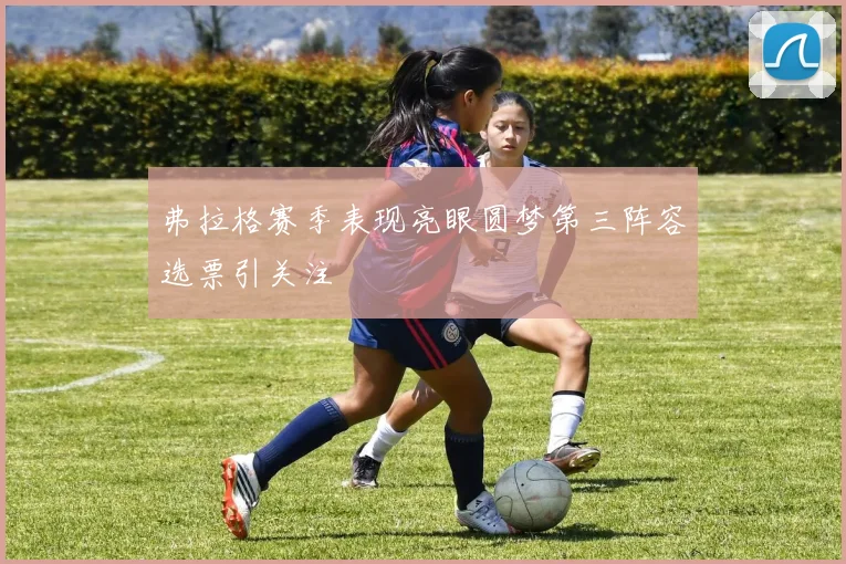 弗拉格赛季表现亮眼圆梦第三阵容选票引关注